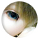 �A�i�C�X03