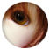 �G���V�[02