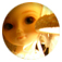 �n�E�X�e���{�X���s02