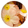 �V�g�̗����s02