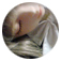 �X�C�[�g�h���[����01